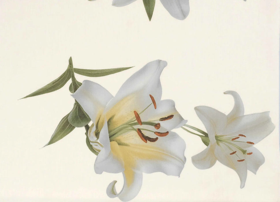 Dekbedovertrek - Signoria - Lilium - Ivory